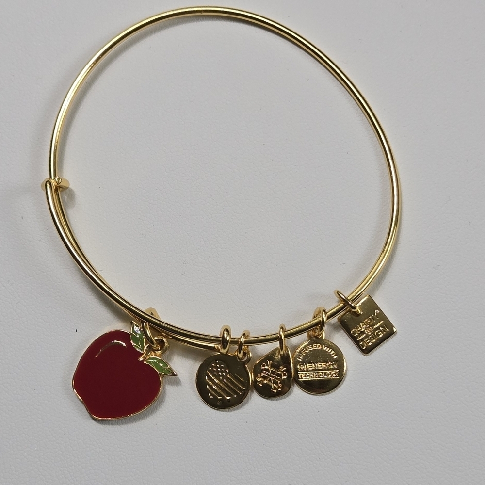Alex And Ani Gold Tone Red Apple 2017  Charm Bracelet - Picture 8 of 15